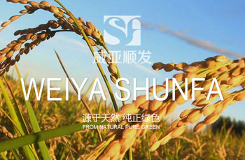熱烈祝賀江蘇順發(fā)米業(yè)有限公司網(wǎng)站全新上線(xiàn)?。?！